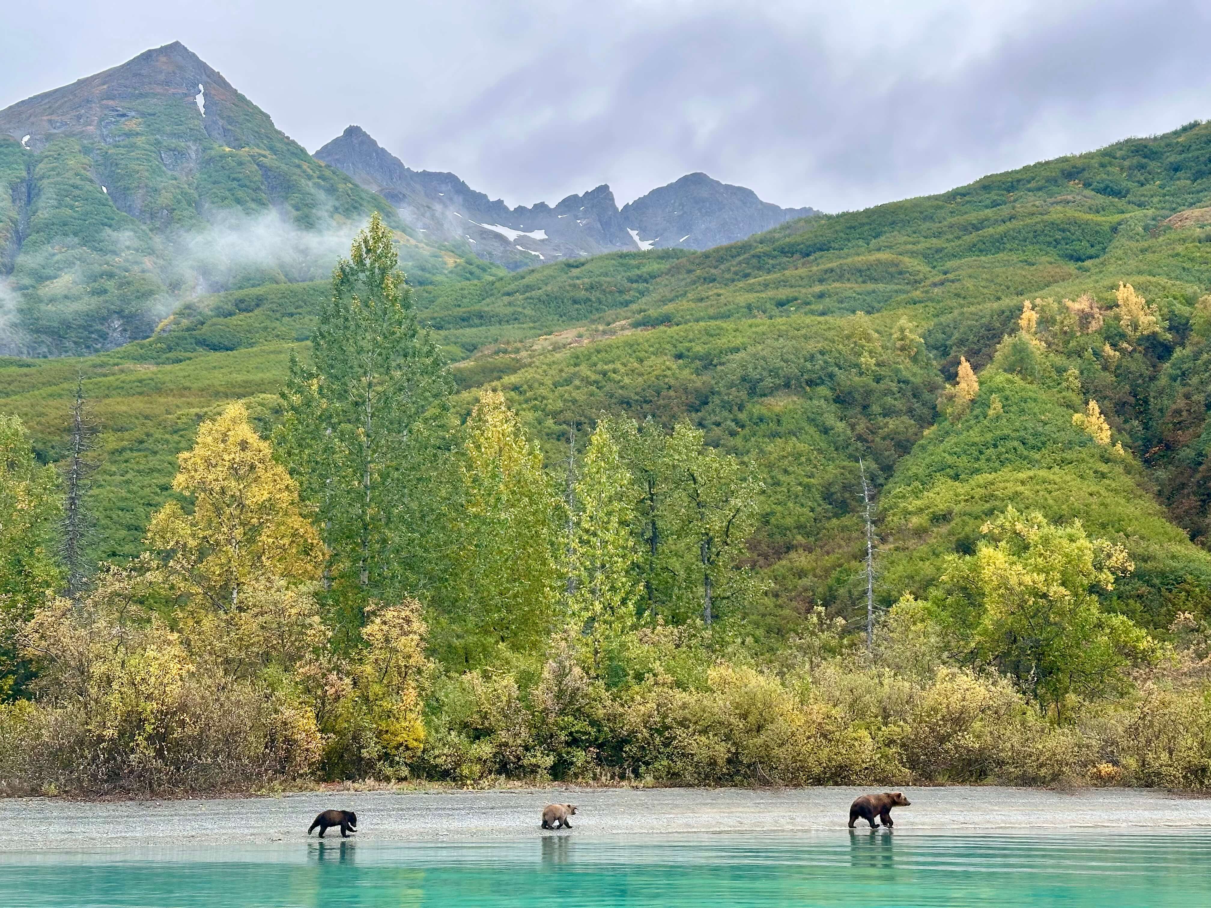 Park Narodowy Lake Clark na Alasce.jpeg